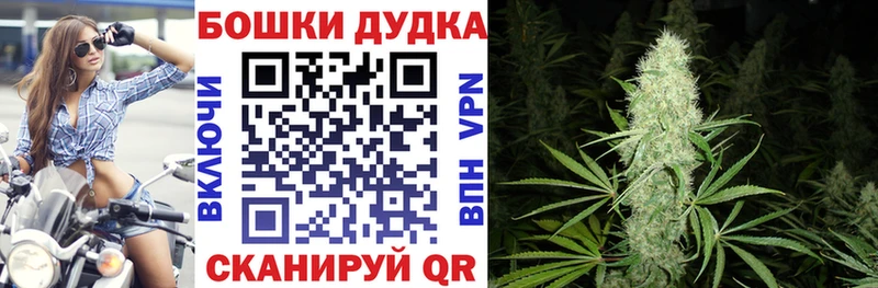 Сколько стоит Зерноград ГАШИШ  A-PVP  Меф  Бошки Шишки 