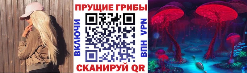 Галлюциногенные грибы мицелий omg маркетплейс Зерноград
